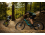 Kellys Theos F60 SH 29"/27.5" 725Wh