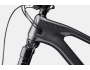 Cannondale Jekyll 29 Carbon 2