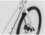 TREK FX 2 Disc Stagger WSD