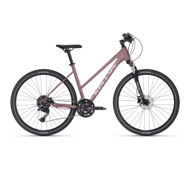 Kellys Pheebe 30 2025
