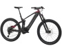 TREK Powerfly LT 9.7 Plus