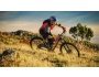 TREK Fuel EX 9.8 Women's