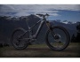 TREK Powerfly LT 9.9 Plus