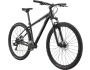 Cannondale Trail 8