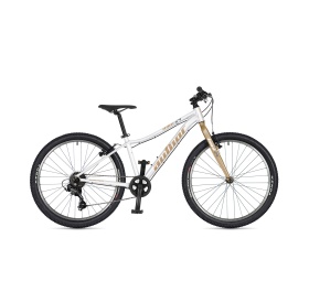 Author Limit 24 2026