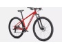Specialized Rockhopper 29