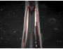 TREK Domane SL 5 Disc