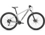 Specialized Rockhopper Comp 29 2x