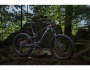 TREK Powerfly LT 9.7 Plus