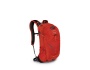Osprey Syncro 12