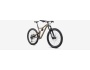 Specialized Stumpjumper EVO Comp Alloy 29