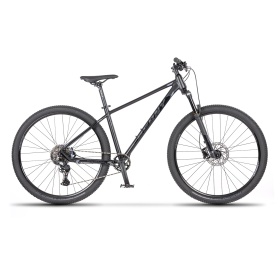 Beany Blaster 29 2026