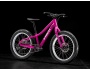 TREK Roscoe 20