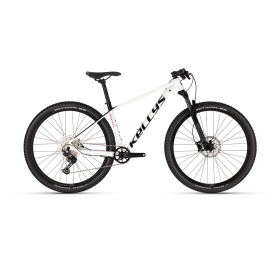 Kellys Mystery 30 29 2023