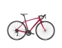 TREK Domane AL 2 WSD