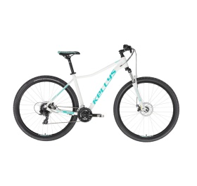 Kellys Vanity 30 2023