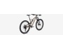 Specialized Stumpjumper EVO Comp Alloy 29