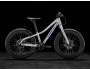 TREK Roscoe 20