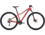 Specialized Jett Sport 29