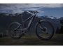 TREK Powerfly LT 4 Plus