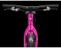 TREK Roscoe 20