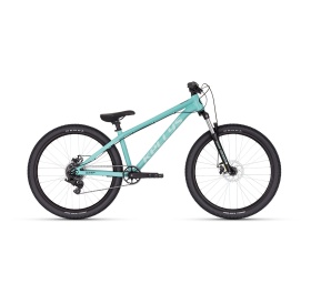 Kellys Whip 10 DX 2025