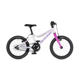 Author Record 16 2025