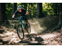 Kellys Theos F60 SH 29"/27.5" 725Wh