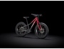 TREK Roscoe 20