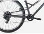 TREK Wahoo 26 Path