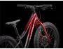 TREK Roscoe 20
