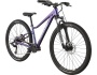 Cannondale Trail 26