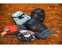 Evoc Hip Pack PRO 3 + Hip Pack Hydration Bladder ledvinka