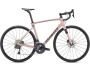 Specialized Roubaix Expert