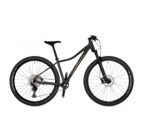 Author Context ASL 2025