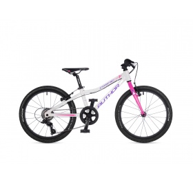 Author Cosmic 20 2025