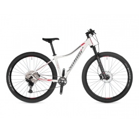 Author Instinct 29 ASL 2023