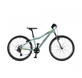 Author Limit 24 2025