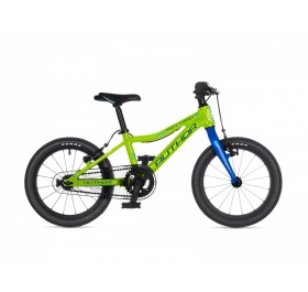 Author Record 16 2025