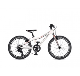 Author Record 20 2025