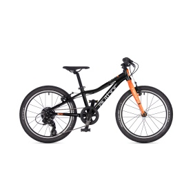 Author Record 20 2026