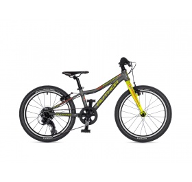 Author Record 20 2025