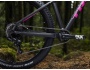 TREK Roscoe 8 Women's