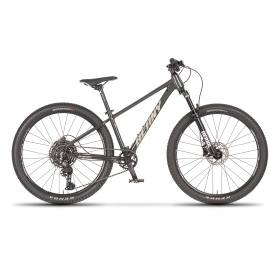 Beany Blaster 26 2026