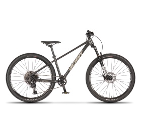 Beany Blaster 27,5 2026