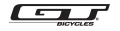 GT
