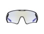 Uvex Sportstyle 231 2.0 V brýle