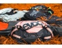 Evoc Hip Pack PRO 3 + Hip Pack Hydration Bladder ledvinka