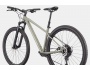 Cannondale Trail 1