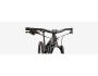 Specialized Stumpjumper EVO Expert